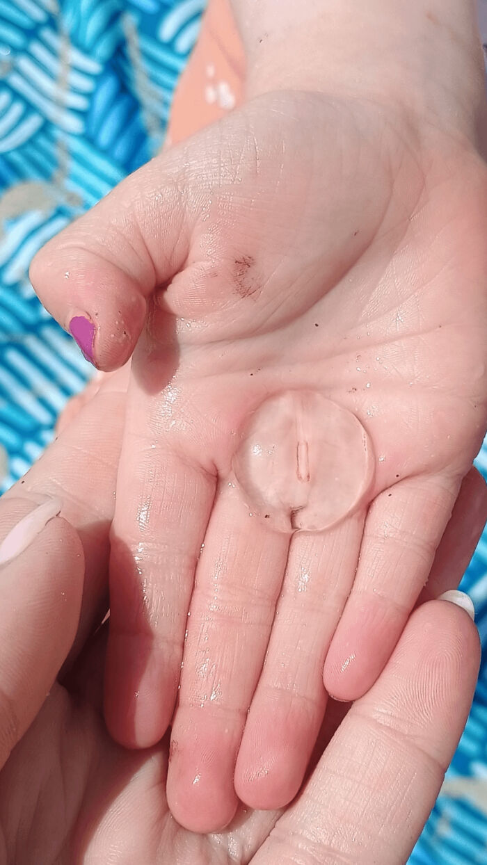“WHY WOULD YOU TOUCH THAT?!”: 71 Things That Should Really Be Left Alone