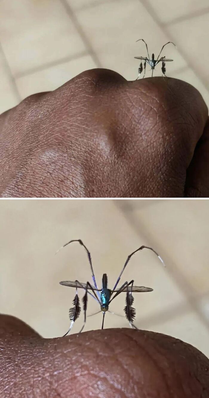 “WHY WOULD YOU TOUCH THAT?!”: 71 Things That Should Really Be Left Alone