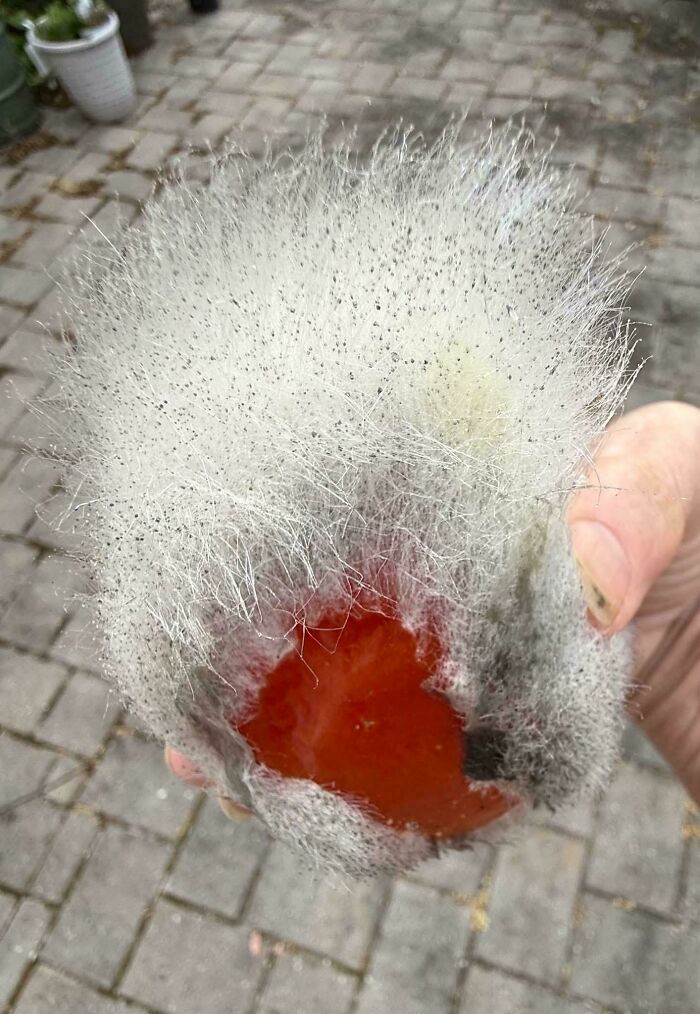 “WHY WOULD YOU TOUCH THAT?!”: 71 Things That Should Really Be Left Alone