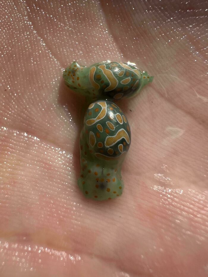 “WHY WOULD YOU TOUCH THAT?!”: 71 Things That Should Really Be Left Alone