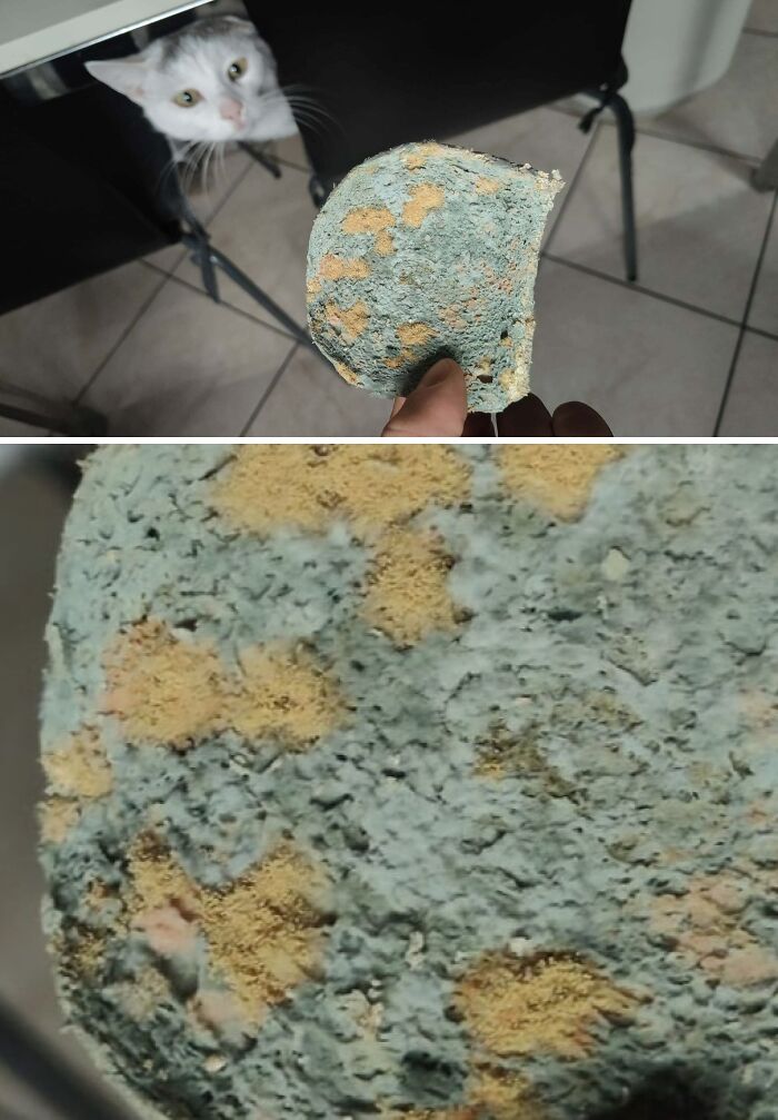 “WHY WOULD YOU TOUCH THAT?!”: 71 Things That Should Really Be Left Alone