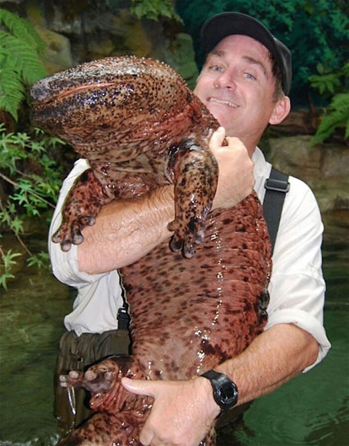 “WHY WOULD YOU TOUCH THAT?!”: 71 Things That Should Really Be Left Alone