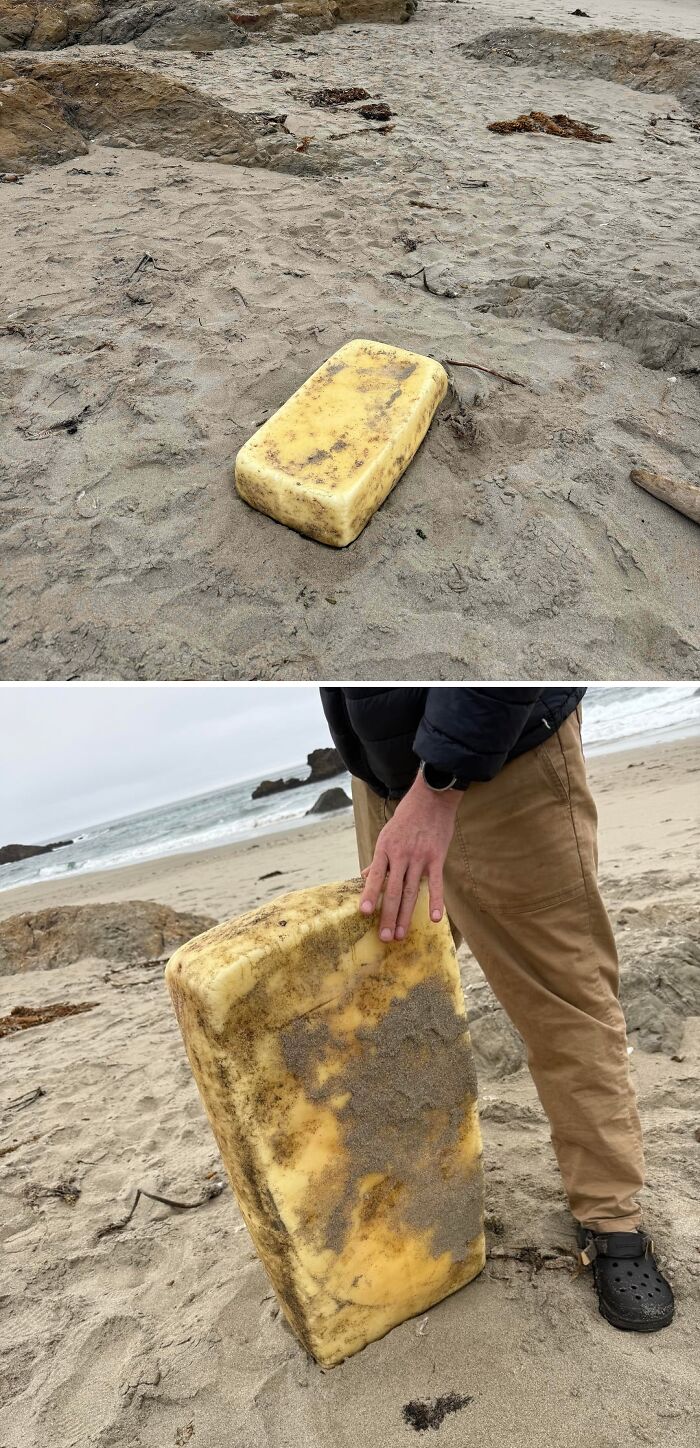 “WHY WOULD YOU TOUCH THAT?!”: 71 Things That Should Really Be Left Alone