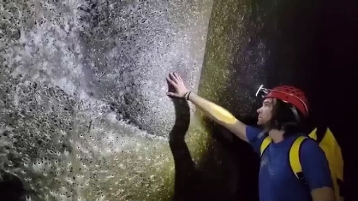 “WHY WOULD YOU TOUCH THAT?!”: 71 Things That Should Really Be Left Alone