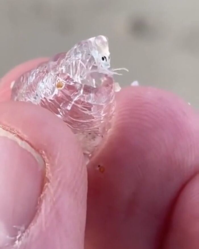 “WHY WOULD YOU TOUCH THAT?!”: 71 Things That Should Really Be Left Alone