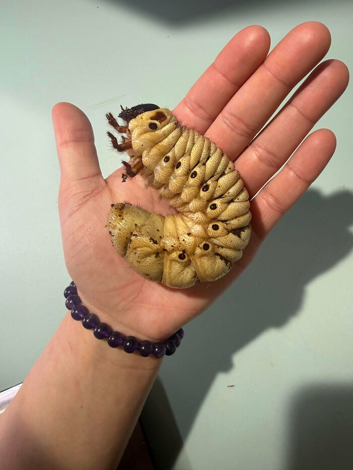 “WHY WOULD YOU TOUCH THAT?!”: 71 Things That Should Really Be Left Alone