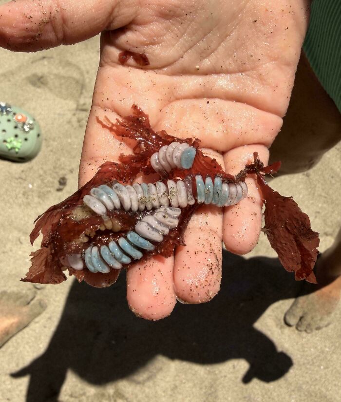 “WHY WOULD YOU TOUCH THAT?!”: 71 Things That Should Really Be Left Alone