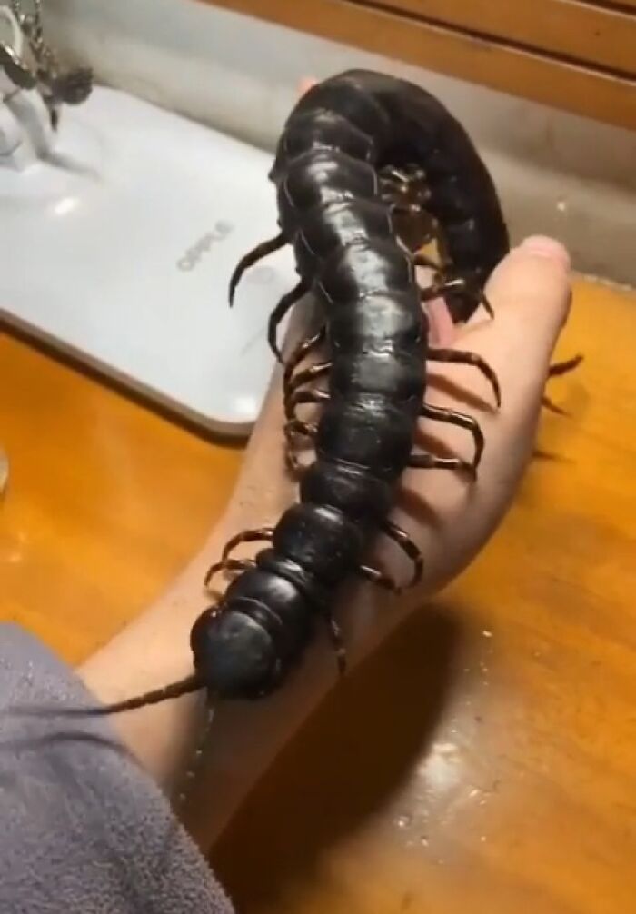“WHY WOULD YOU TOUCH THAT?!”: 71 Things That Should Really Be Left Alone