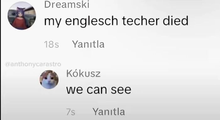49 Of The Funniest And Most Unhinged Comments On TikTok