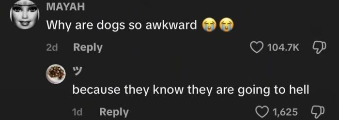 49 Of The Funniest And Most Unhinged Comments On TikTok