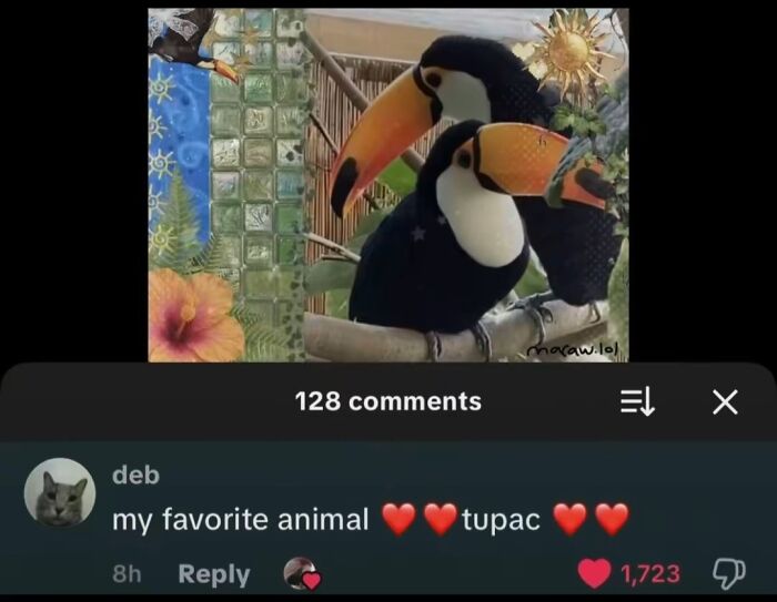 49 Of The Funniest And Most Unhinged Comments On TikTok
