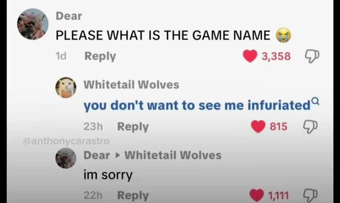 49 Of The Funniest And Most Unhinged Comments On TikTok