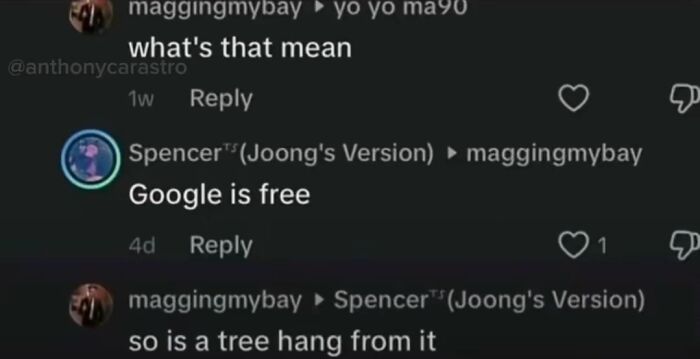49 Of The Funniest And Most Unhinged Comments On TikTok