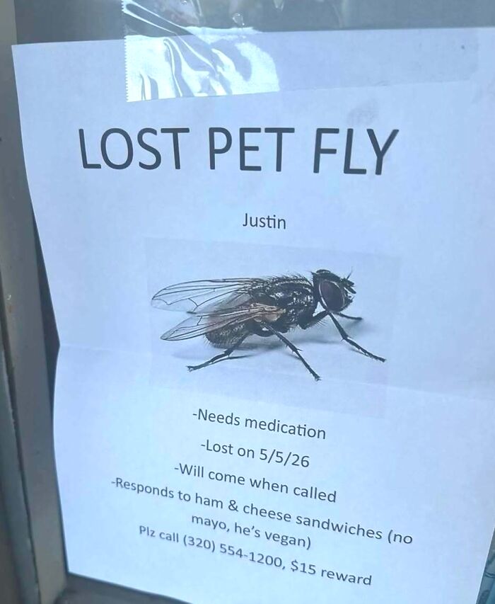 31 Hilarious Memes To Help You Stay Sane In This Crazy World