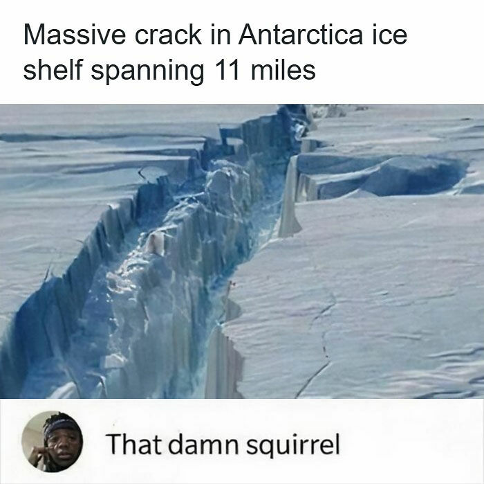 31 Hilarious Memes To Help You Stay Sane In This Crazy World