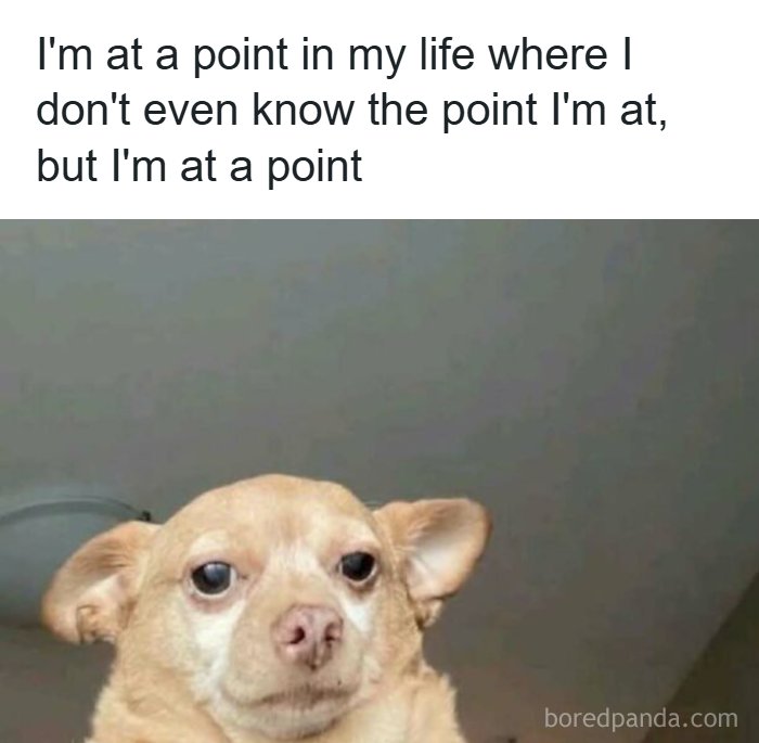31 Hilarious Memes To Help You Stay Sane In This Crazy World