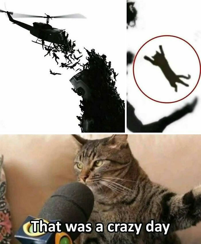 31 Hilarious Memes To Help You Stay Sane In This Crazy World