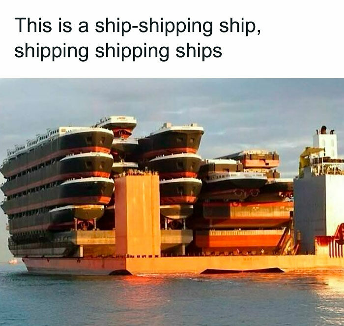 31 Hilarious Memes To Help You Stay Sane In This Crazy World