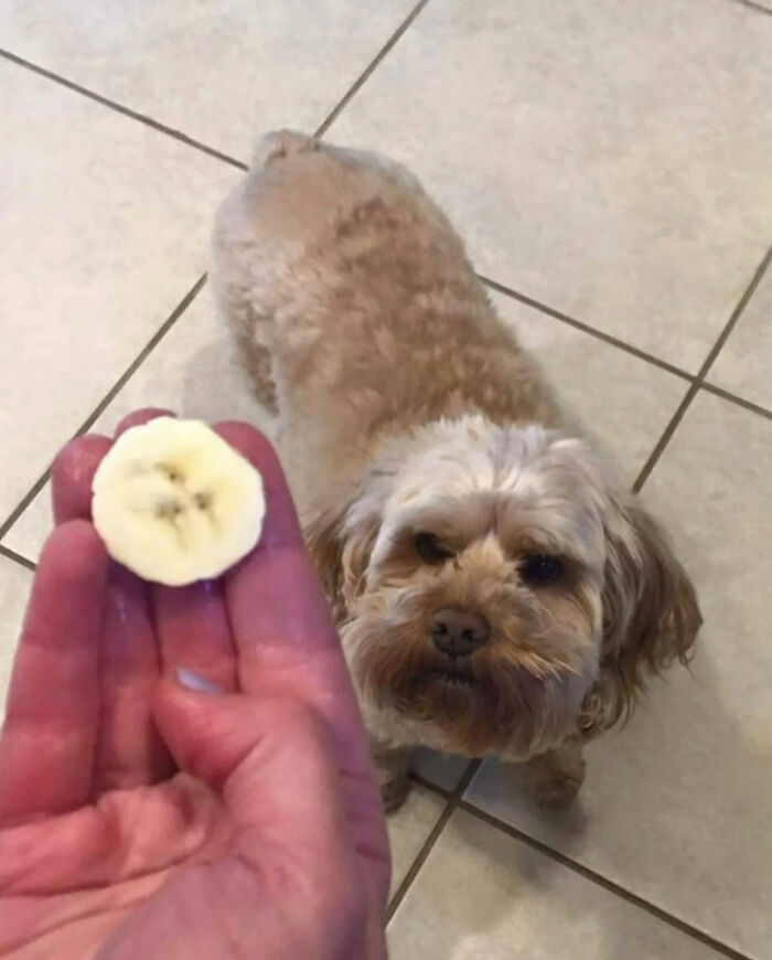 93 Photos That Are So Great, They Became Legends Of The Internet