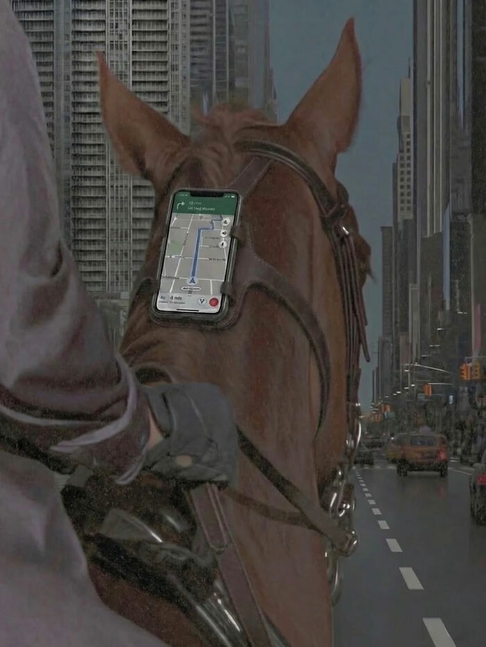 93 Photos That Are So Great, They Became Legends Of The Internet