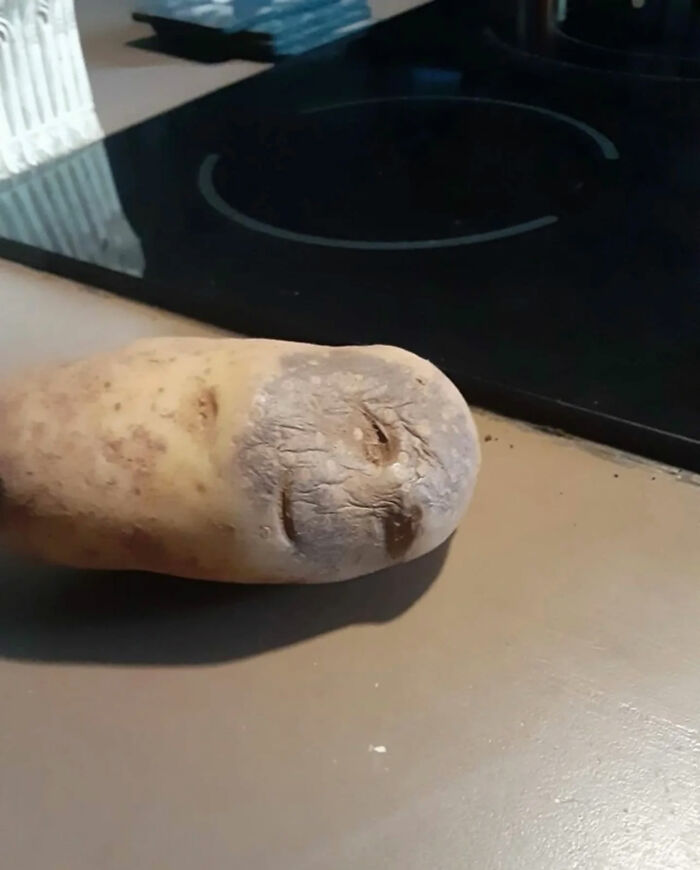 93 Photos That Are So Great, They Became Legends Of The Internet