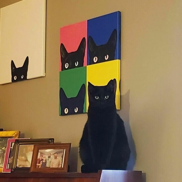 93 Photos That Are So Great, They Became Legends Of The Internet