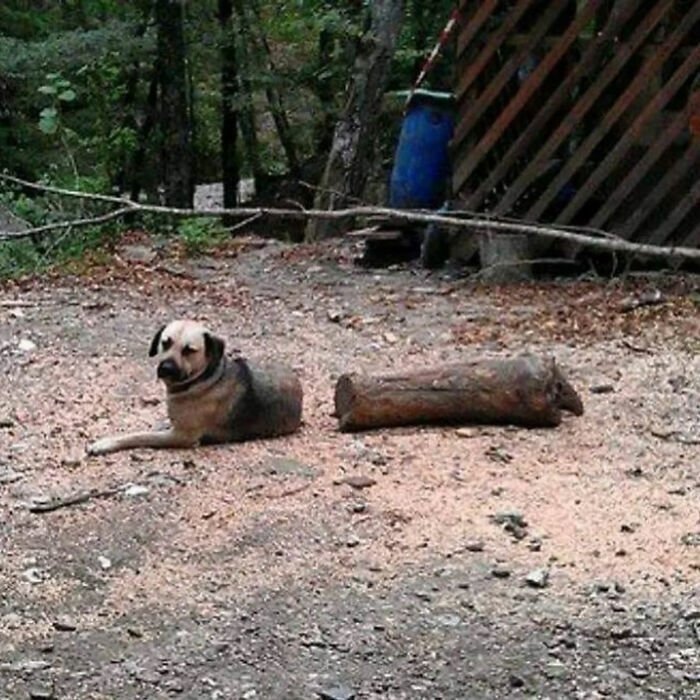 93 Photos That Are So Great, They Became Legends Of The Internet