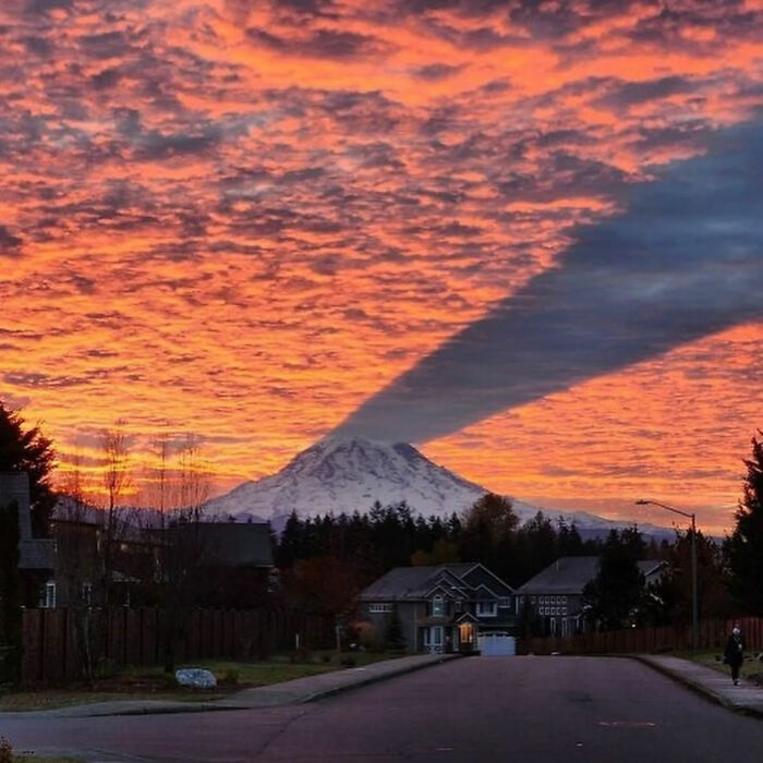93 Photos That Are So Great, They Became Legends Of The Internet