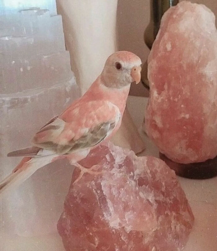 93 Photos That Are So Great, They Became Legends Of The Internet
