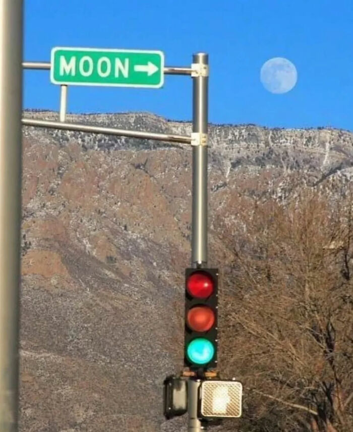 93 Photos That Are So Great, They Became Legends Of The Internet