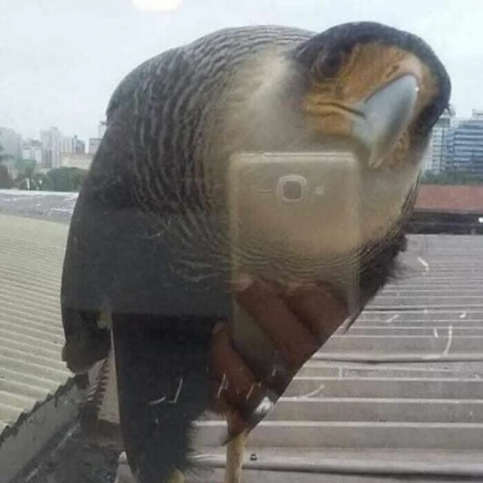 93 Photos That Are So Great, They Became Legends Of The Internet