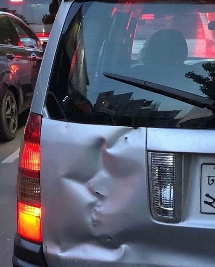 93 Photos That Are So Great, They Became Legends Of The Internet