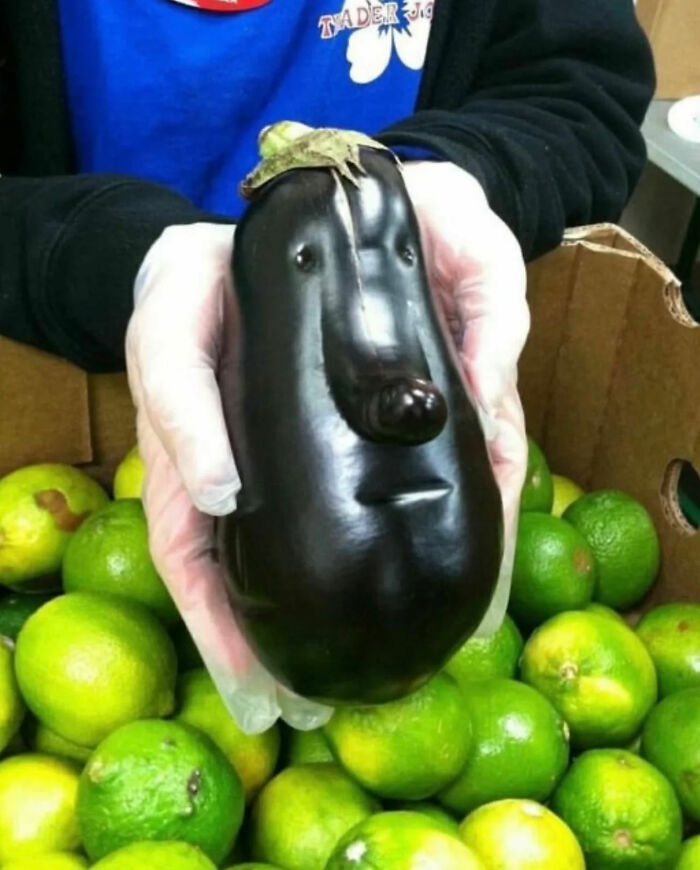 93 Photos That Are So Great, They Became Legends Of The Internet