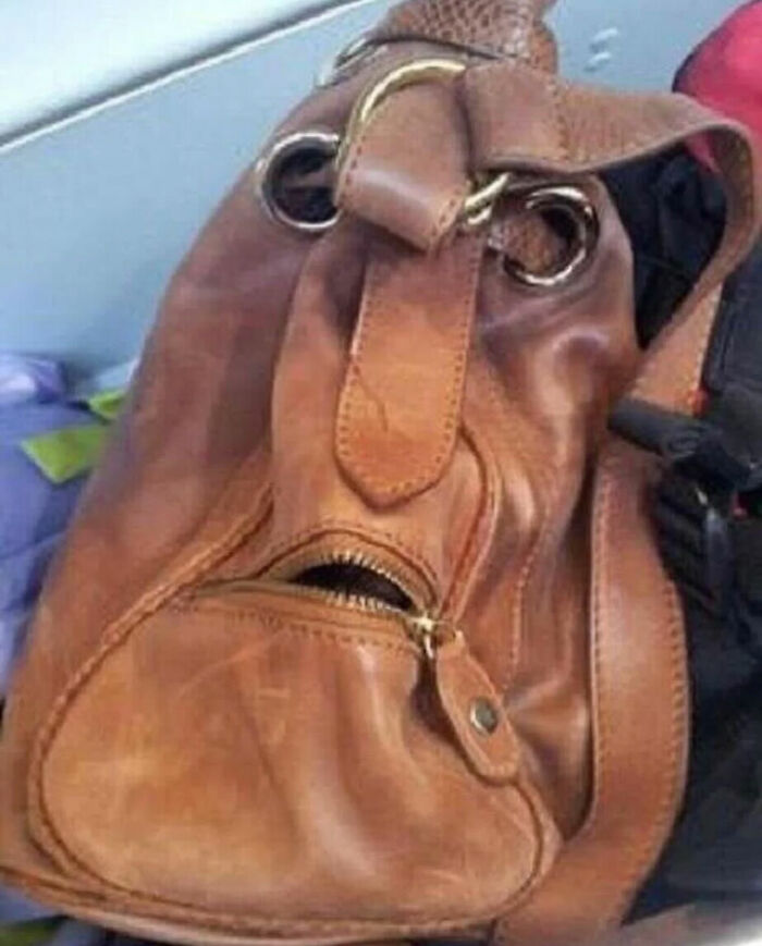 93 Photos That Are So Great, They Became Legends Of The Internet