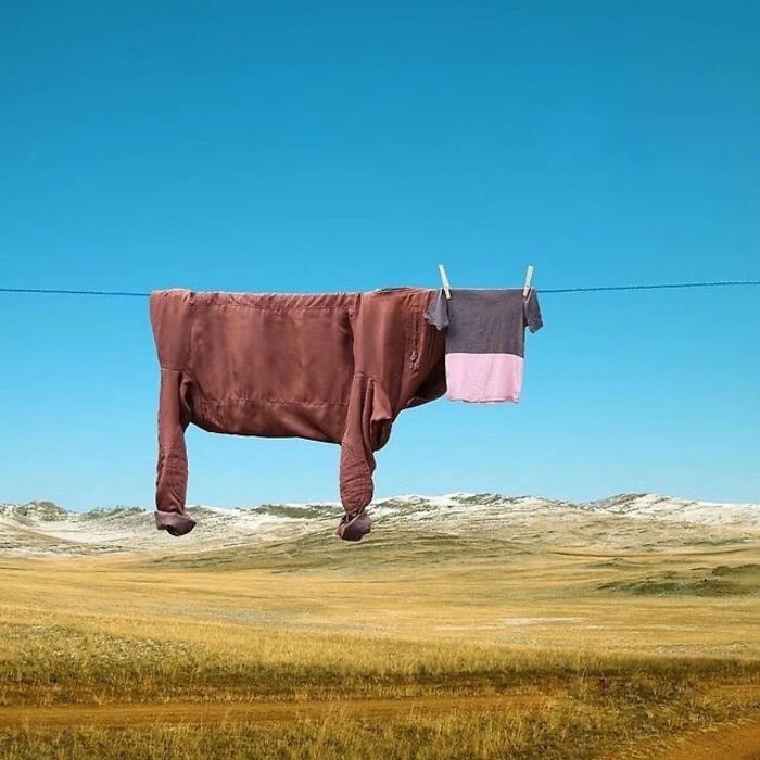 93 Photos That Are So Great, They Became Legends Of The Internet