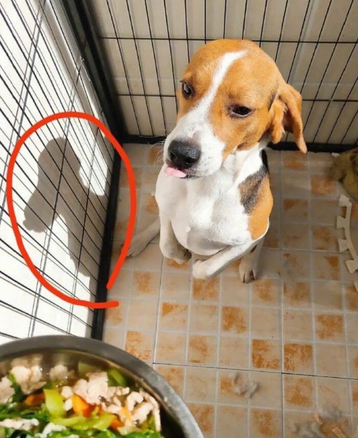 93 Photos That Are So Great, They Became Legends Of The Internet