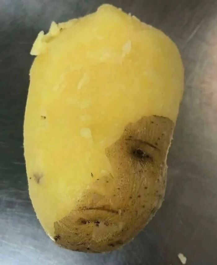93 Photos That Are So Great, They Became Legends Of The Internet