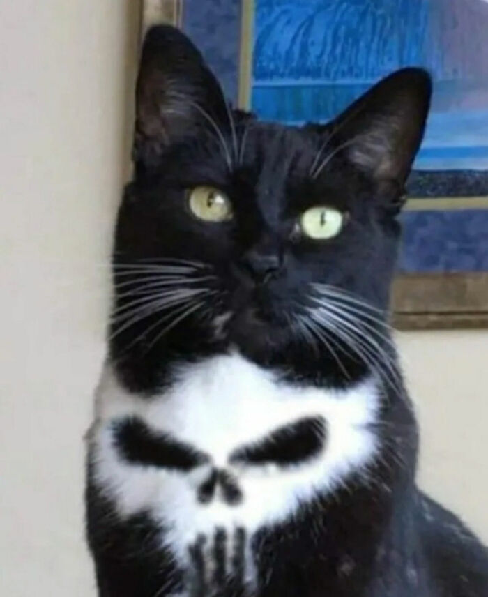 93 Photos That Are So Great, They Became Legends Of The Internet