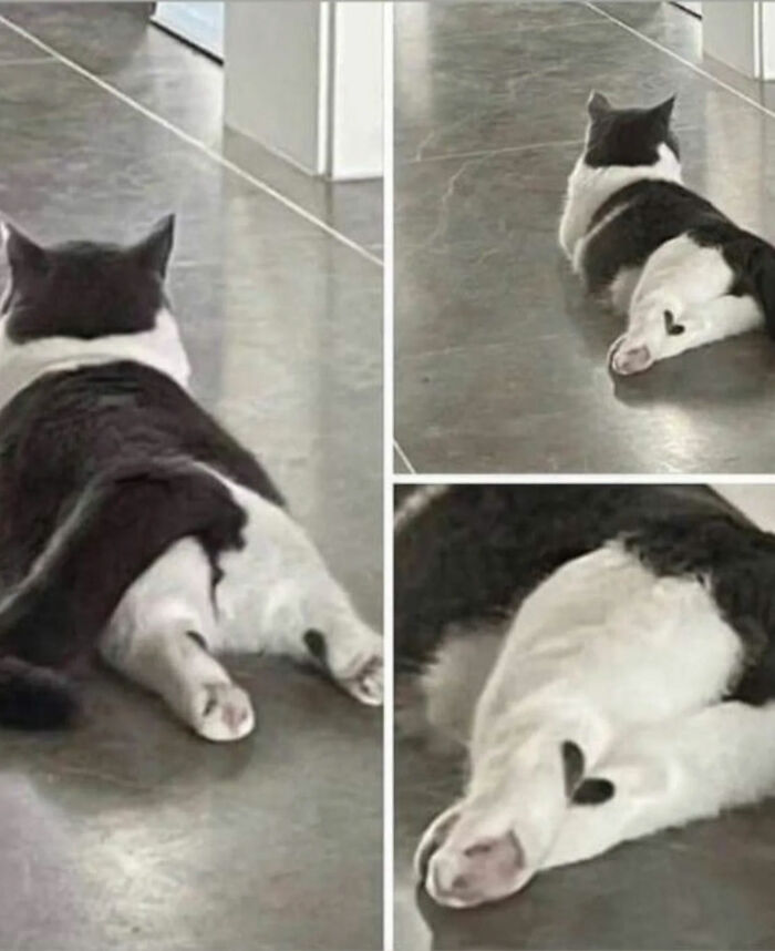 93 Photos That Are So Great, They Became Legends Of The Internet