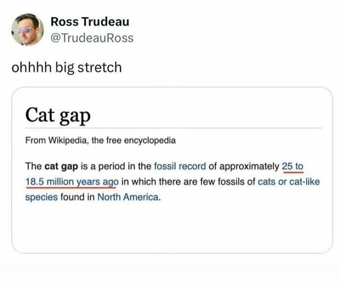 67 Entertaining Cat Memes That Prove The World Would Be A Boring Place Without Them
