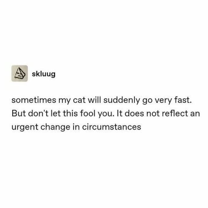 67 Entertaining Cat Memes That Prove The World Would Be A Boring Place Without Them