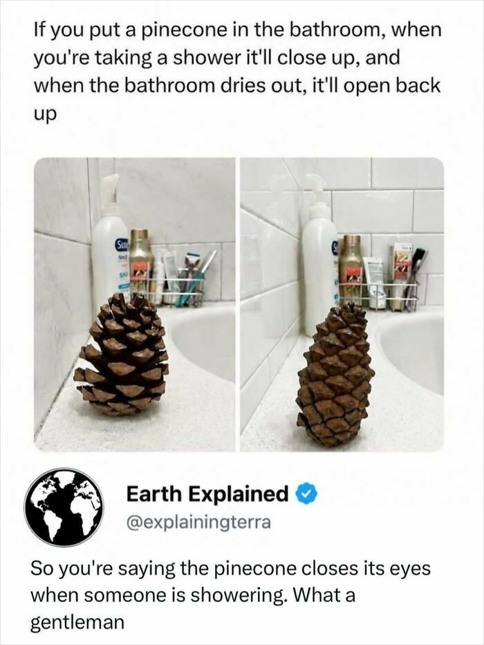 41 Interesting Facts That Are Perfect For People Who Love Learning New Things