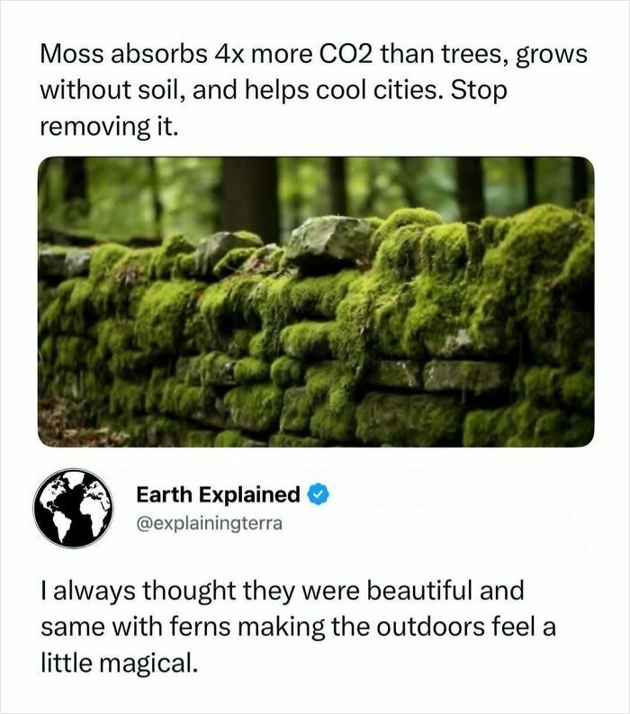 41 Interesting Facts That Are Perfect For People Who Love Learning New Things