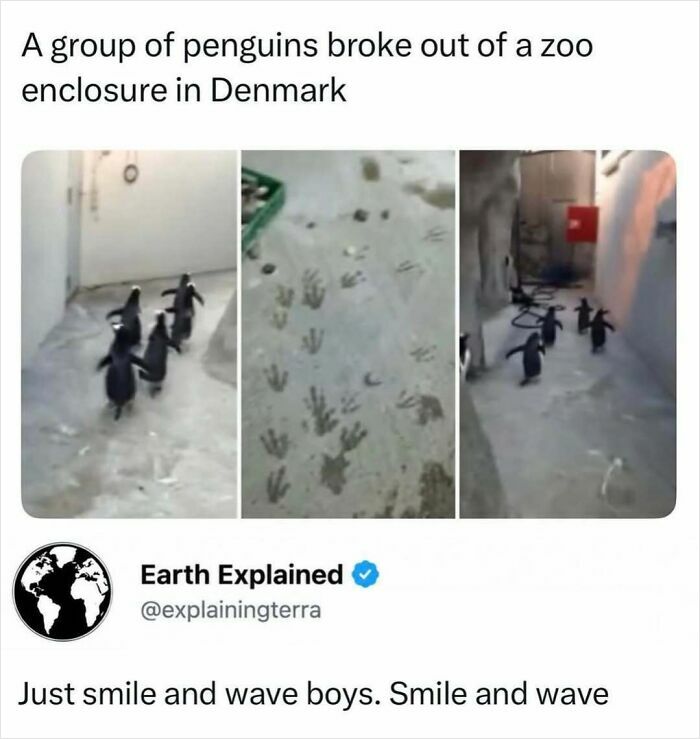 41 Interesting Facts That Are Perfect For People Who Love Learning New Things