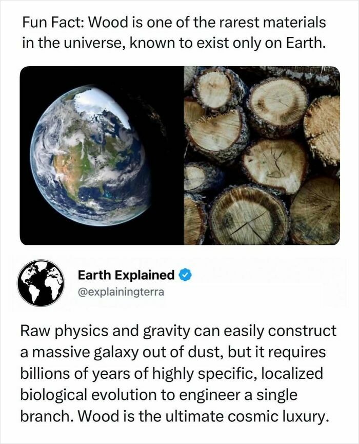 41 Interesting Facts That Are Perfect For People Who Love Learning New Things