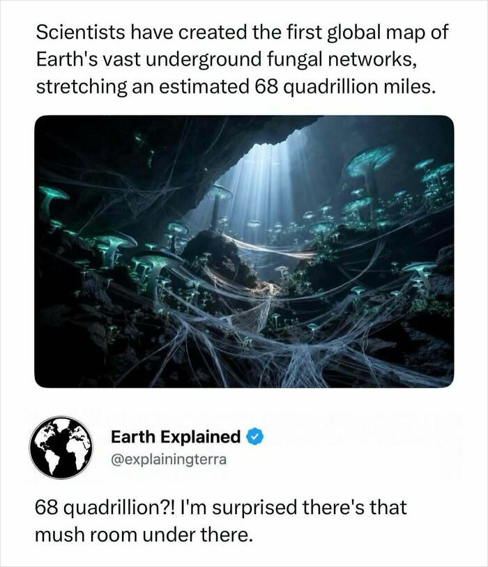41 Interesting Facts That Are Perfect For People Who Love Learning New Things
