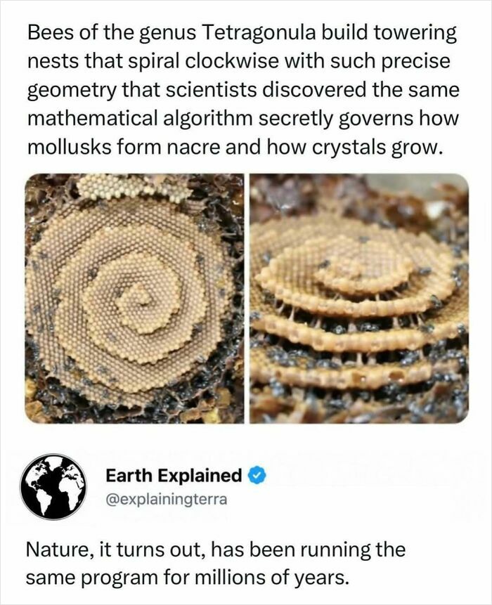 41 Interesting Facts That Are Perfect For People Who Love Learning New Things
