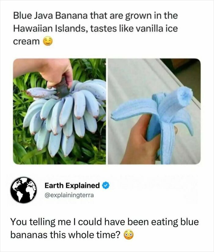 41 Interesting Facts That Are Perfect For People Who Love Learning New Things