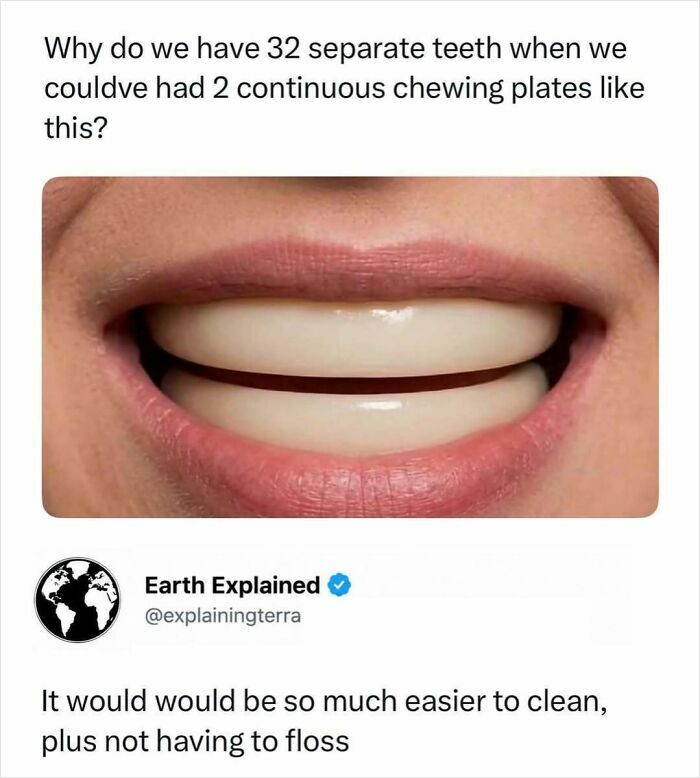 41 Interesting Facts That Are Perfect For People Who Love Learning New Things