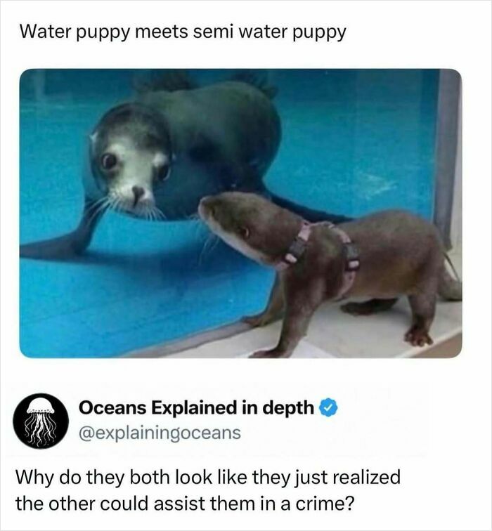 41 Interesting Facts That Are Perfect For People Who Love Learning New Things